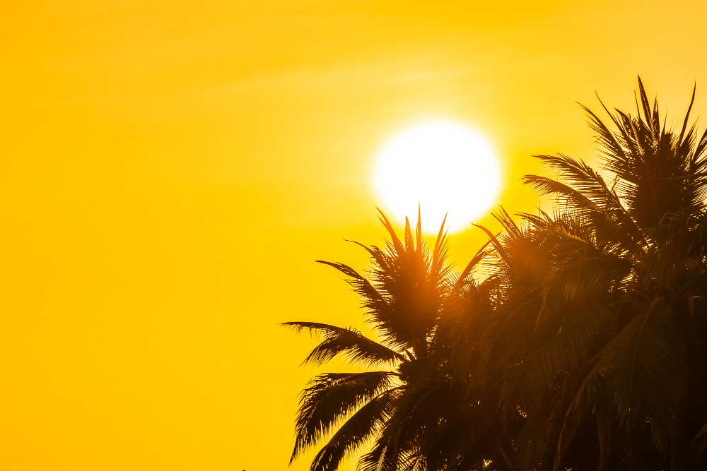 In arrivo una nuova ondata di caldo con punte fino a 36 gradi