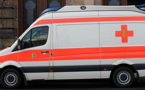 Appello a Casciago per ritrovare il gatto Giubarino